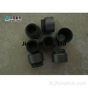 VG1246050027 61560040032 VG1560040032 Howo Oil seal